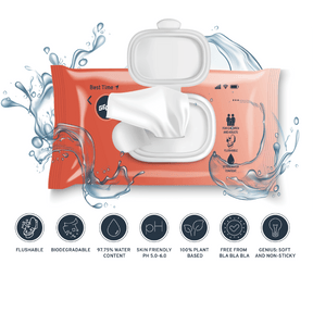 WET WIPES